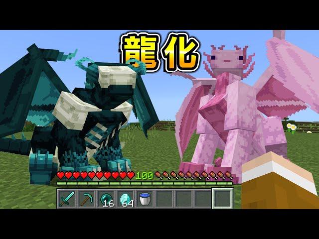 Minecraft 騎上飛龍！從蛋開始養育『變成龍的生物』世界生存，成長到超級強大