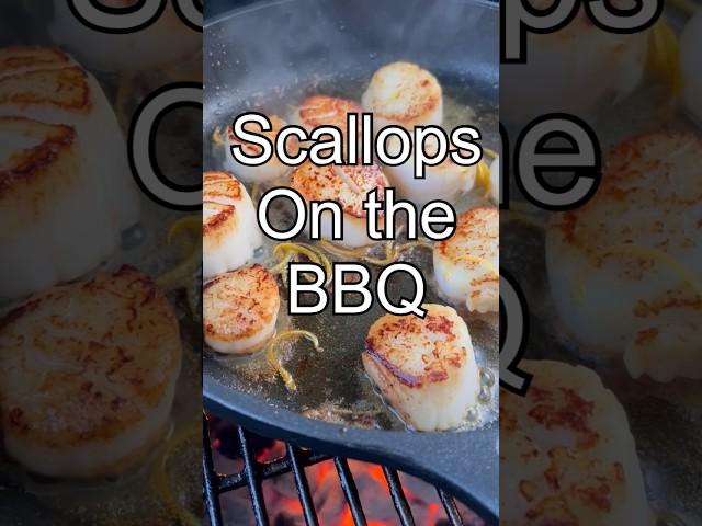 Cooking scallops on the BBQ #shorts #seafood