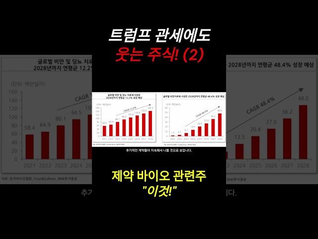 트럼프 관세에 살아남는 "이 주식" (2)