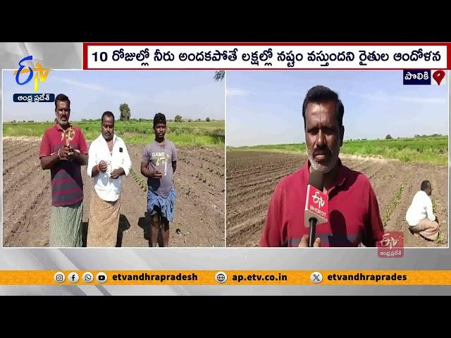 గుంతకల్లు బ్రాంచ్ కాలువకు సాగునీరు ఏది? | Farmers Worried On Lack of Irrigation Water | Guntakal