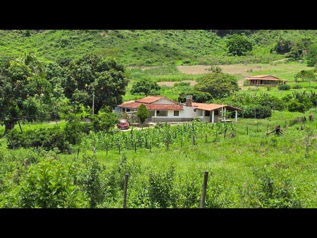 SÍTIO RANGEL TOP PRA VC / TERRA PRONTA ESTRUTURADA MUITA FRUTA E CAPIM