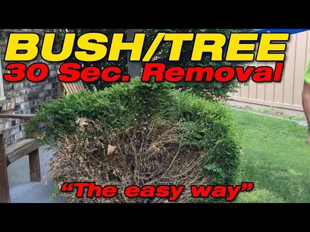 Worlds easiest and fastest way to remove Shrubs, Bushes, and Trees!