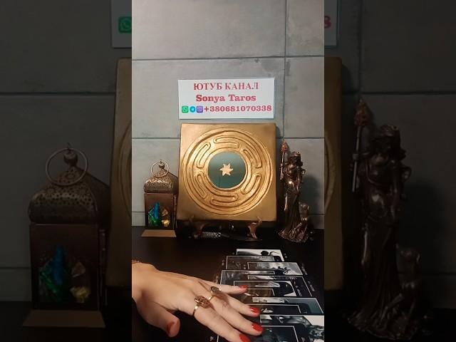 ЧТО ПРОИСХОДИТ ЗА КУЛИСАМИ @SonyaTaros #бумеранг #таро #таролог #сонятаро #гадание #tarot #карты