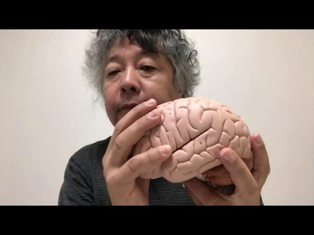 脳の朝活必勝法！！！