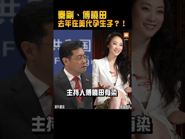 【國際】金融時報：秦剛、傅曉田 去年在美代孕生子