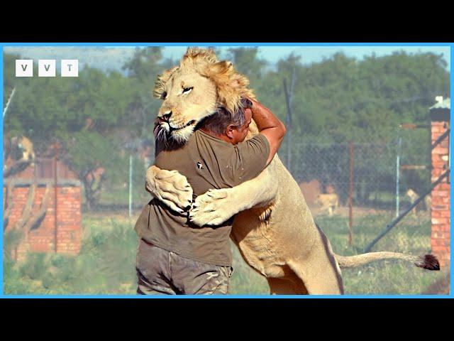 50 Animals Reunited With Owners After Years!#10 | Animals That Asked People for Help & Kindness!