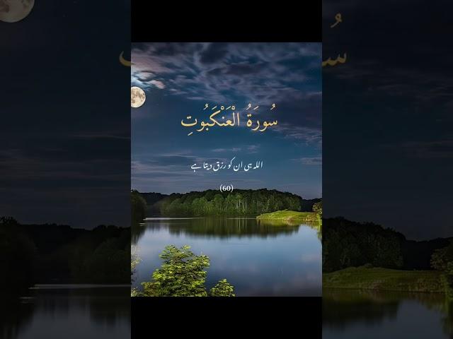 surah Anqabut #surahankabut