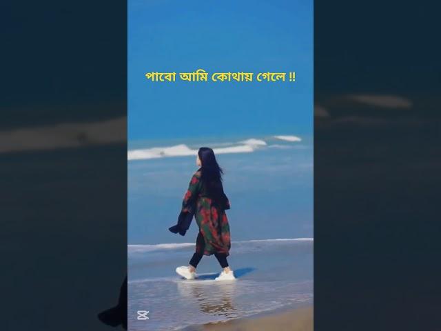 পা‌বো আমি তোমায় কোথায় গে‌লে#viralvideo#capcut#funny#foryou#comedy#shorts#love#song#short#edit#dj