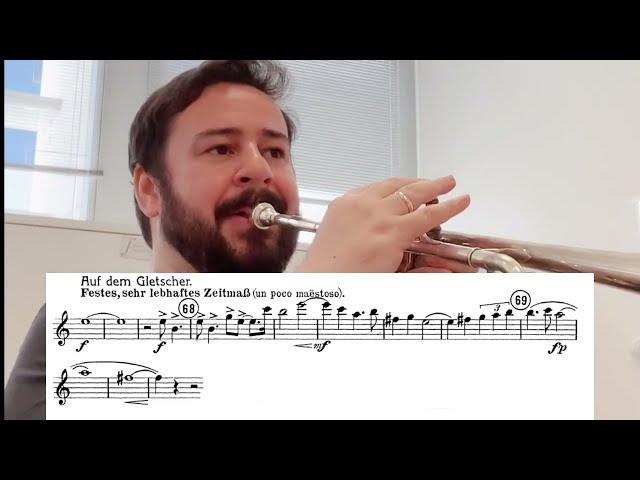 Trumpet Excerpt - ALPINE SYMPHONY - Tassio Furtado Trumpet