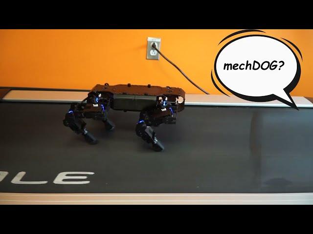 Meet mechDOG, Lynxmotion's Robot Dog by RobotShop.com