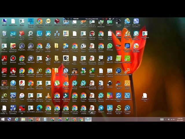 Duplicate File Remover