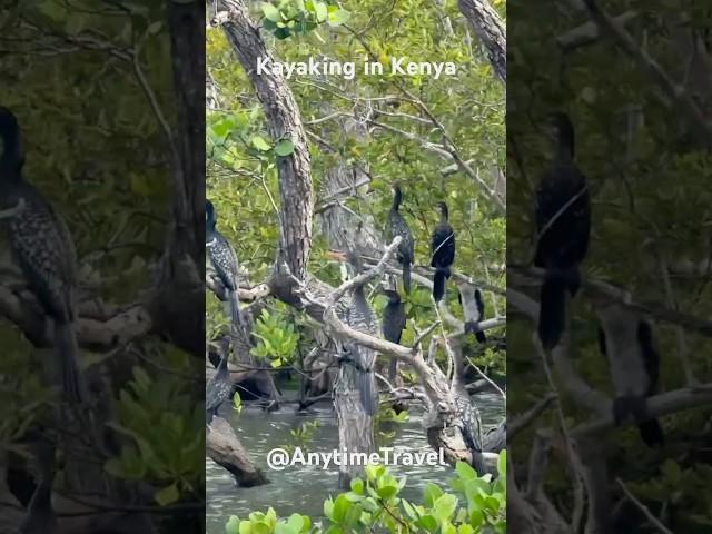 Connect with nature! Schedule Outdoors  #321traveltips
