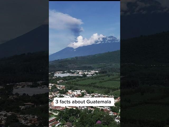 Three facts about Guatemala  #guatemala #facts #shorts