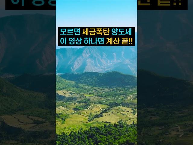 토지 양도세 쉽게 확실하게 정리됩니다~ #시골땅 #임야매매 #토지매매 #양도세금 #세금정보