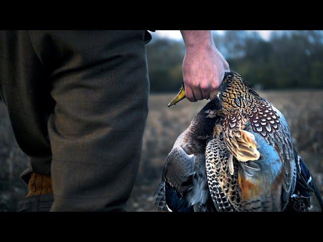 The Last Minute Pheasant Shoot!