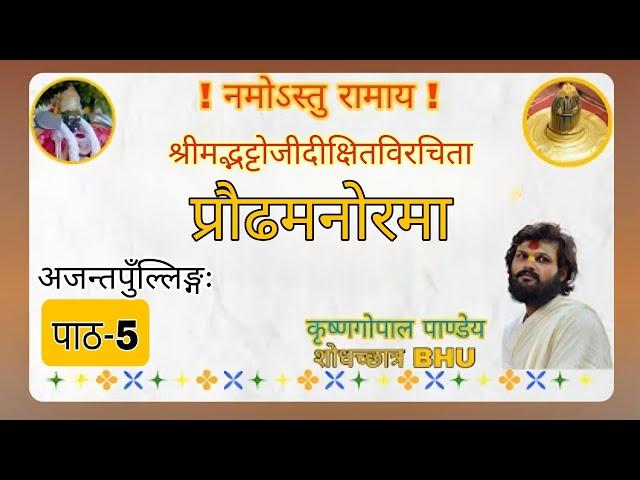 प्रौढमनोरमा अजन्त-पुँल्लिङ्ग पाठ-5 अर्थवदधातुरप्रत्ययः प्रातिपदिकम् | SANSKRIT |KRISHNA GOPAL PANDEY