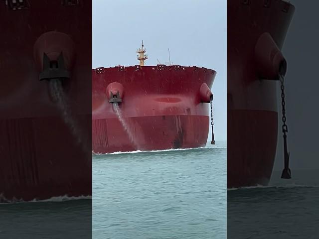 400m long container ship Vs 300m long Bulk Carrier #sailing #cargoship #anchor