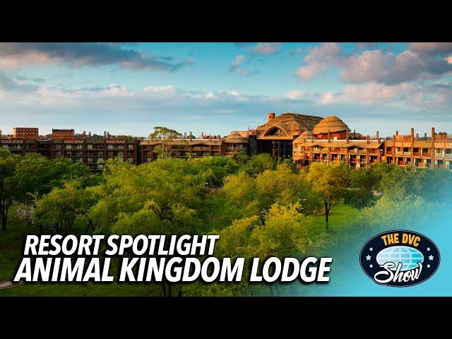 DVC Resort Spotlight Series! Disney's Animal Kingdom Lodge & Kidani Village