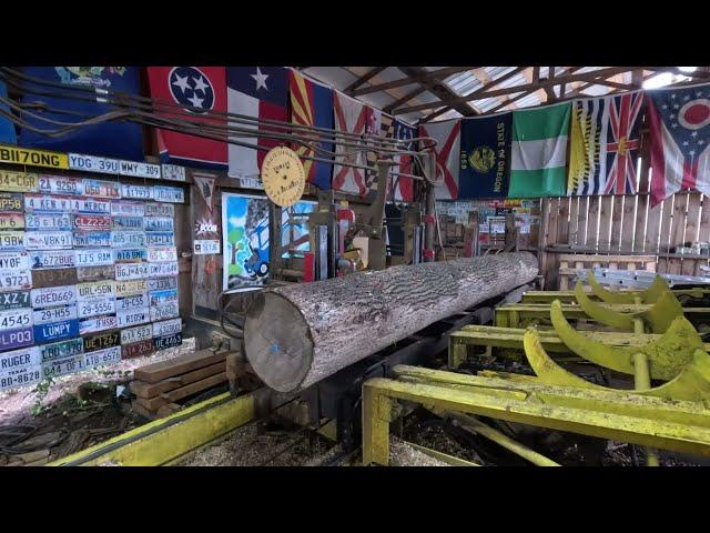 Sawing three poplar logs # 726