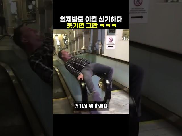 언제봐도 이건 신기하다 웃기면 그만 ㅋㅋㅋ #웃긴짤 #웃긴영상 #funny