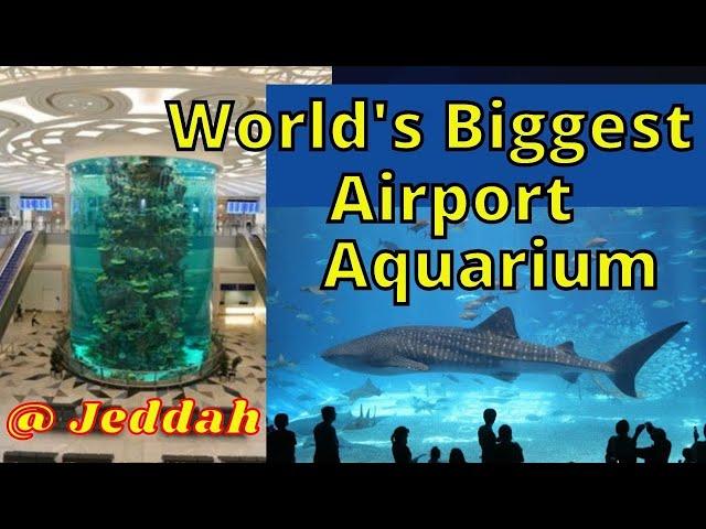 World's Biggest Airport Aquarium @ Jeddah, Saudi Arabia [Jeddah New Airport] 2021