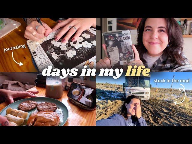 days in my life  *full-time indie author, chaos vlog, reading & journaling*