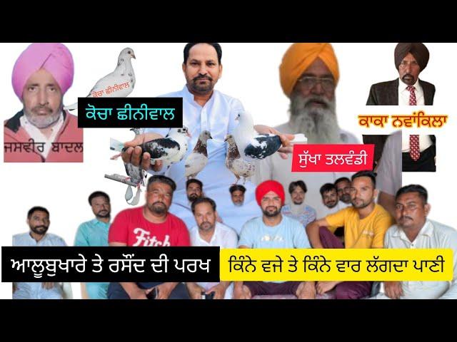 Ik Shonk Kabootarbaazi Da Full Interview ਸੁਪਰ ਸਟਾਰ ਕਬੂਤਰਬਾਜ ਕੋਚਾ ਛੀਨੀਵਾਲ #kabootar #barnala