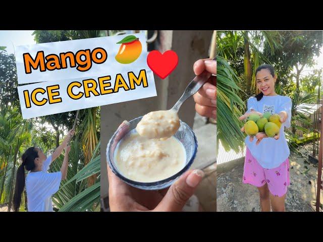 Mango Ice Cream - Home Made  |  Chitralekha Doley