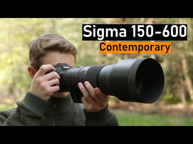 BEST Wildlife Photography Lens on a Budget? - Sigma 150-600mm C