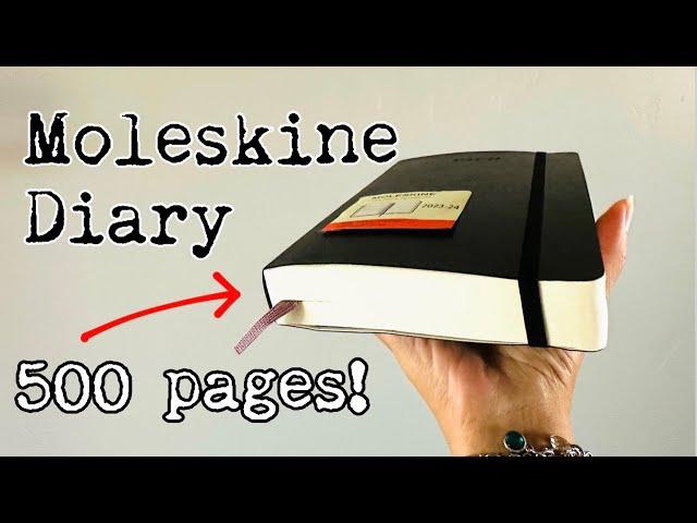 Still Can't Believe I Found This! - Moleskine notebook flip-through & ink tests