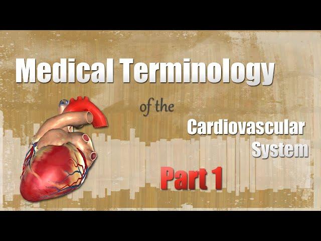 Medical Terminology of the Cardiovascular System Part 1!