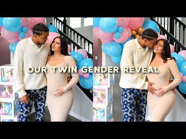 OUR TWIN GENDER REVEAL