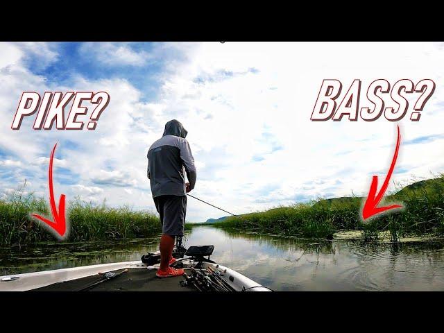 2 HOURS of FROGS, Flipping & Topwater! (Mississippi River Bass Fishing La Crosse)