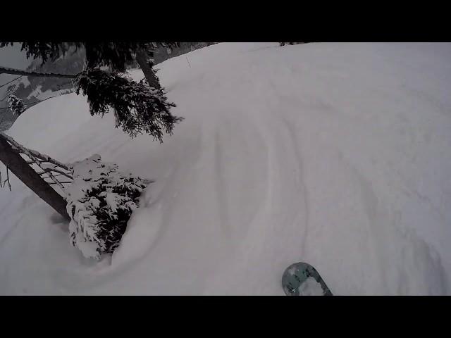 Tauplitz Snowboarding in the Woods