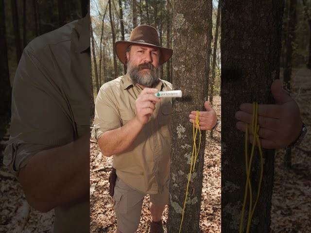 EVERY Camper SHOULD Be Using This!  #survival #bushcraft #camping
