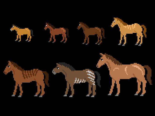 Prehistoric Horses - The Kids' Picture Show