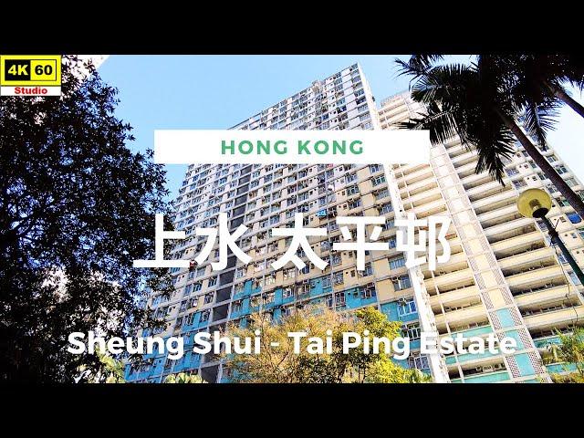 上水 太平邨 4K | Sheung Shui - Tai Ping Estate | DJI Pocket 2 | 2024.02.12