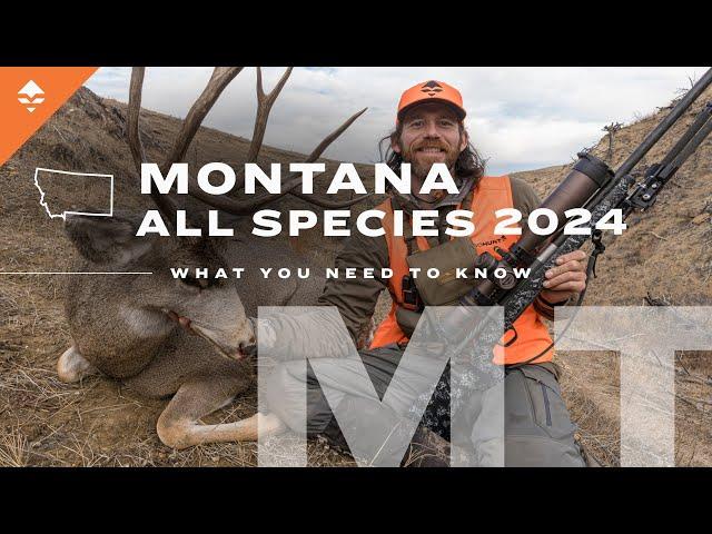 How to Go Hunting in Montana | Everything You Need to Know ( Deer & Elk Application )