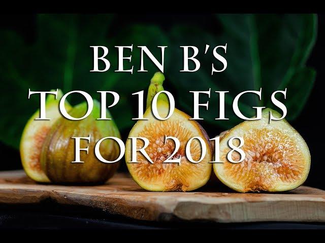 Ben B's Top 10 fig varieties for 2018