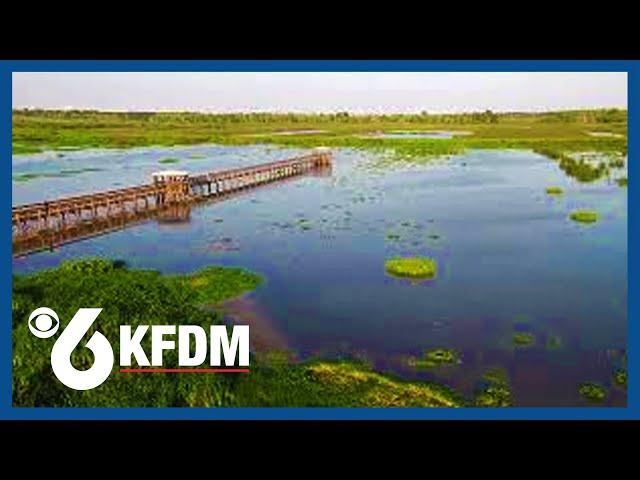 KFDM's eye in the sky: Cattail Marsh in Beaumont, TX