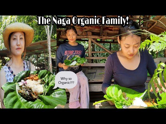 The Naga Organic Family  || Healthy Lifestyle || Lolo Ezung