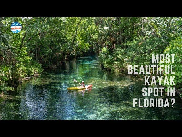 Most Beautiful Kayaking Spot in Florida: Silver Springs State Park