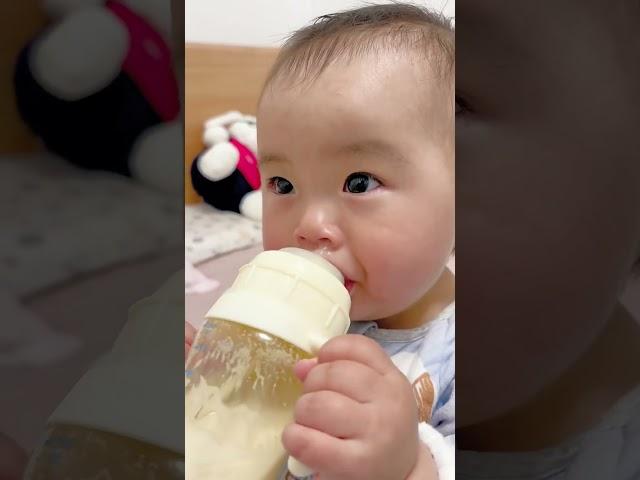 Cute Yiyi Nobo's Milk Time - So Adorable and Heartwarming!  #BabyLove #PreciousMoments #YiyiMilk