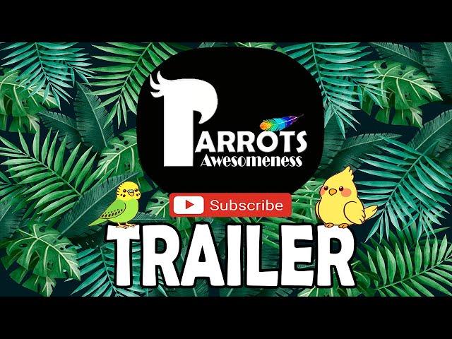 Parrots Awesomeness | BIRDS CHANNEL TRAILER