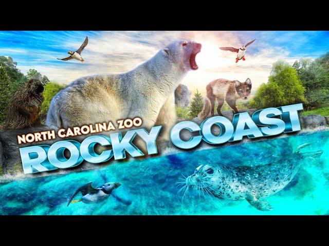 Zoo Tours: Rocky Coast | North Carolina Zoo