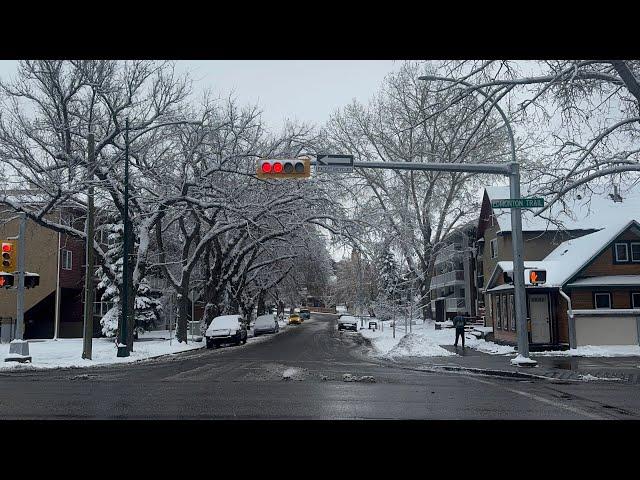 Walking to Downtown Calgary Alberta Canada   from my work . I enjoyed the snow..