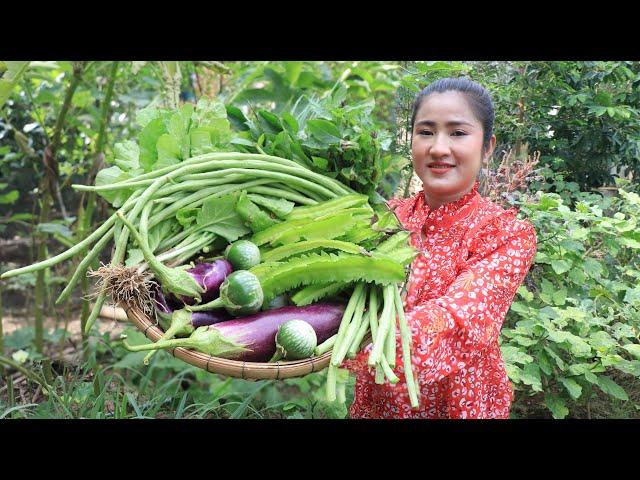 All vegetables are fresh and free / Fresh vegetable recipe / Cooking with Sreypov