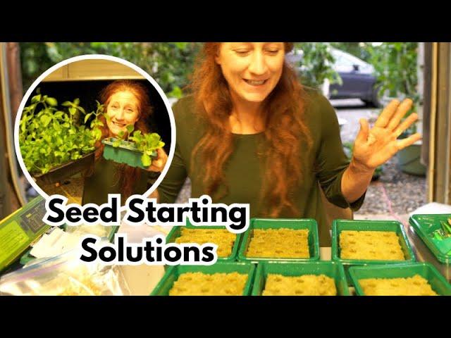 Starting Seeds in Rockwool / / Hydroponic Seed Starting / / Why Your Seeds May Not Germinate.