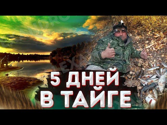 ПЯТЬ ДНЕЙ В ТАЙГЕ, ЖИВЁМ В ПАЛАТКЕ \ РЫБАЛКА НА НАЛИМА \ ПОЛНАЯ ВЕРСИЯ!