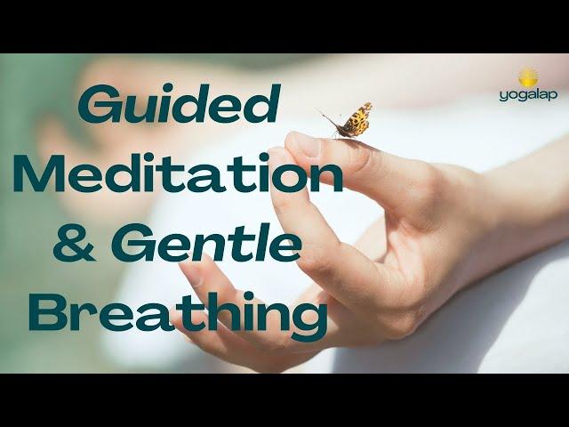 Guided Meditation & Gentle Breathing | Meditation session with Michaël Bijker